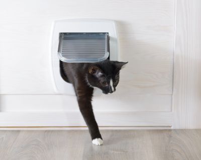Pet Door Construction